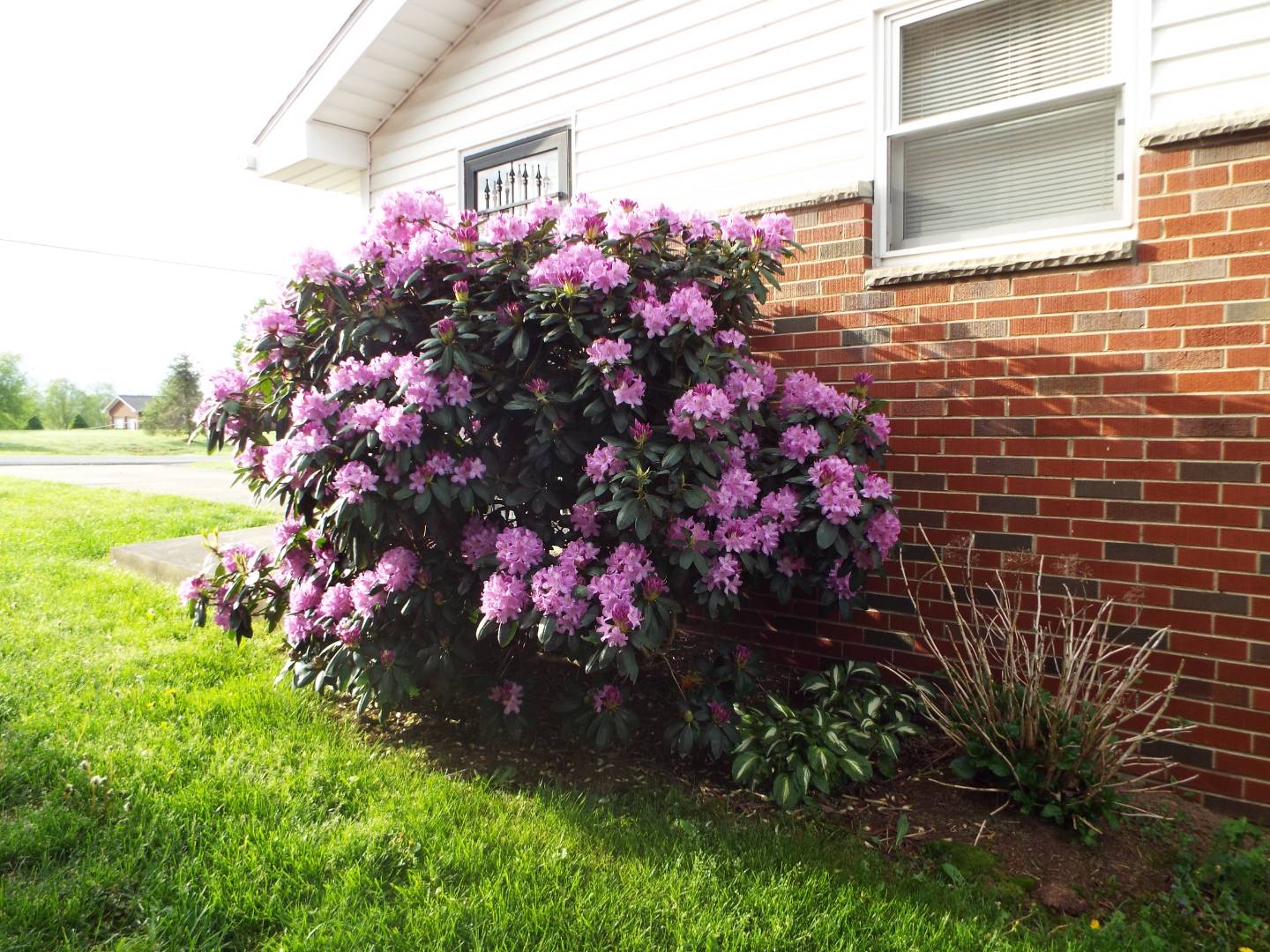 807 Lawman Ave, Bridgeport, WV 26330 (Sold NYStateMLS Listing 10599716)