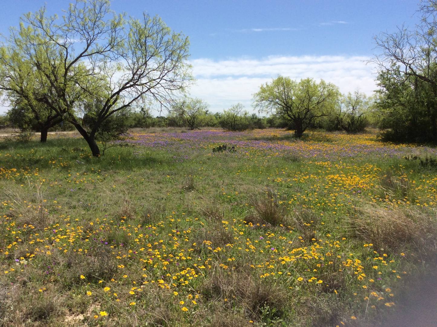 11072 Phillip Road, Paint Rock, TX 76866 (Sold MyStateMLS Listing 10594223)