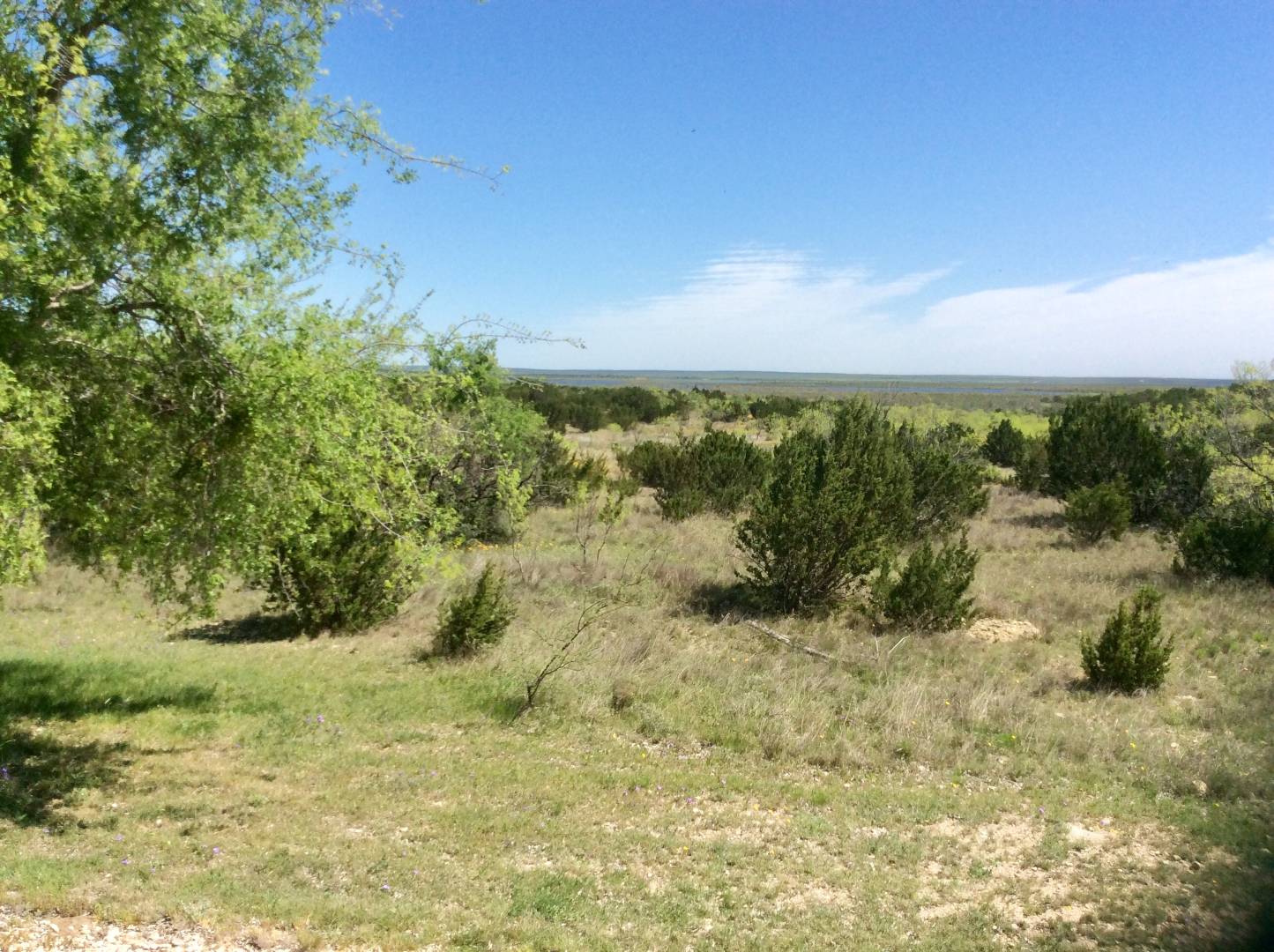 11072 Phillip Road, Paint Rock, TX 76866 (Sold MyStateMLS Listing