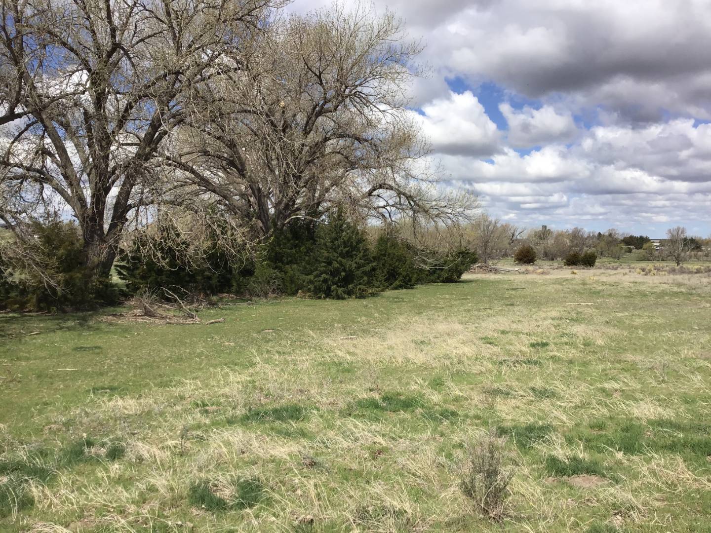 Section 22, NE1/4SE1/4, Township 3 South, Range 40, St. Francis, KS