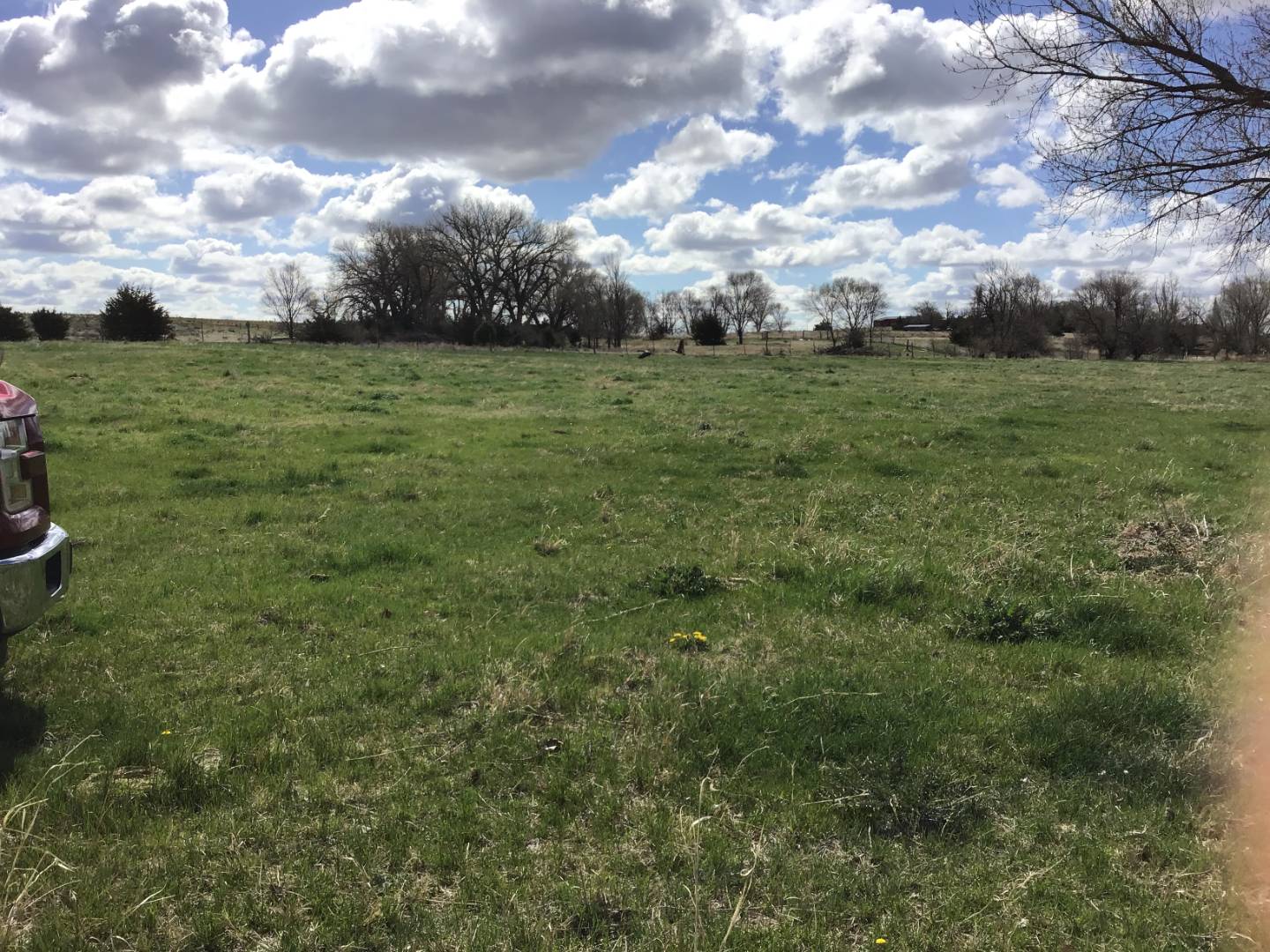 Section 22, NE1/4SE1/4, Township 3 South, Range 40, St. Francis, KS