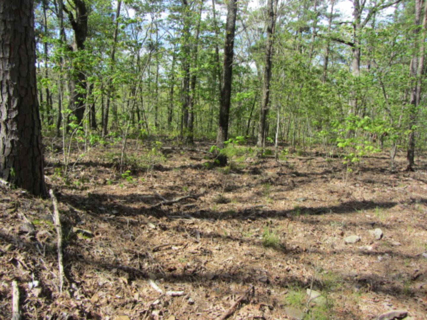 140122 Rural Mtn, Honobia, OK 74957 (Sold NYStateMLS Listing 10597874)