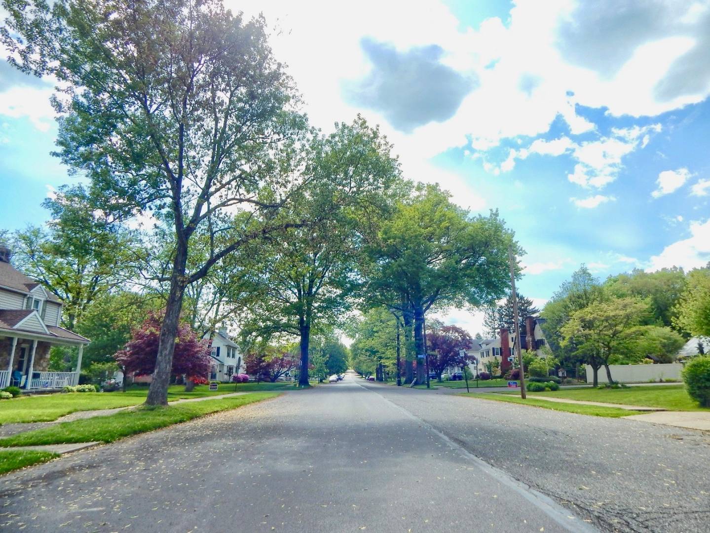 111 Eldred Street, Williamsport, PA 17701 (Sold MyStateMLS Listing