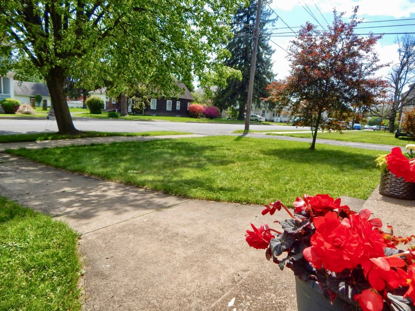 111 Eldred Street, Williamsport, PA 17701 (Sold MyStateMLS Listing