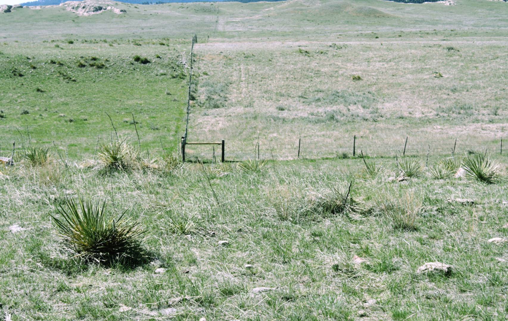 Silver Springs Pasture, Lusk, WY 82225 (Sold NYStateMLS Listing #10603918)