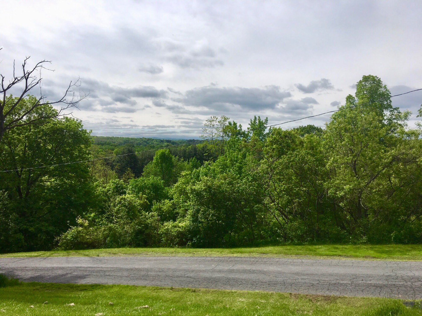 134 Iroquois Trail Road, Tribes Hill, NY 12177 (Sold NYStateMLS Listing 10609927)