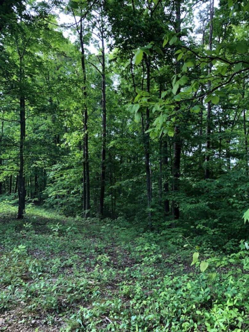 001 Flat Rock Rd, Sandy Hook, KY 41171 (Sold NYStateMLS Listing 10603769)