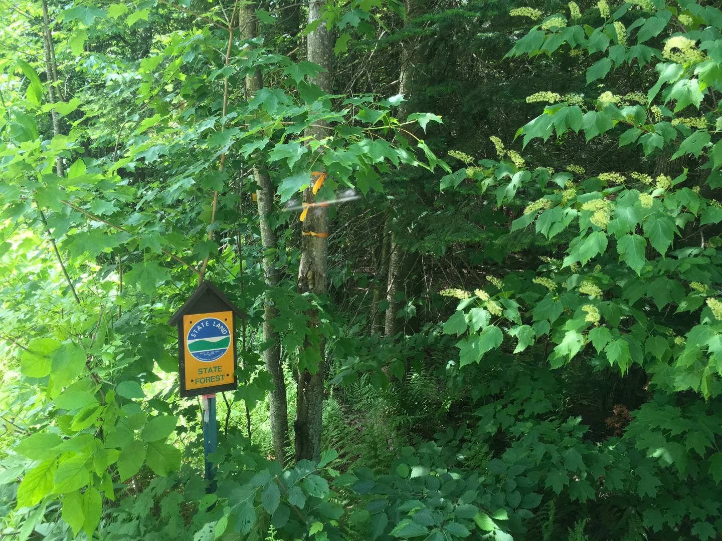 Limekiln Rd, Malone, NY 12953 (Sold NYStateMLS Listing 10619037)