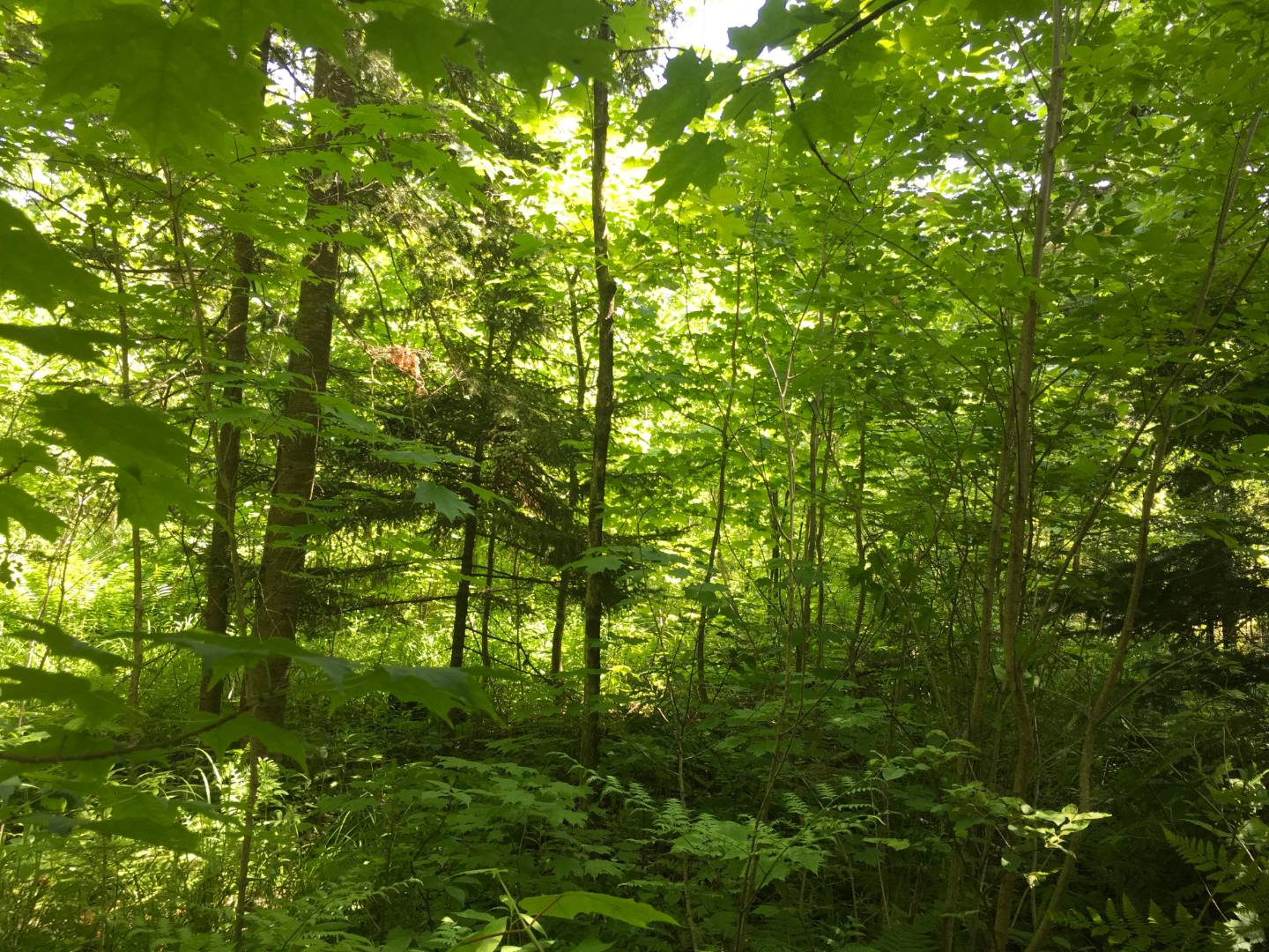 Limekiln Rd, Malone, NY 12953 (Sold NYStateMLS Listing 10619037)