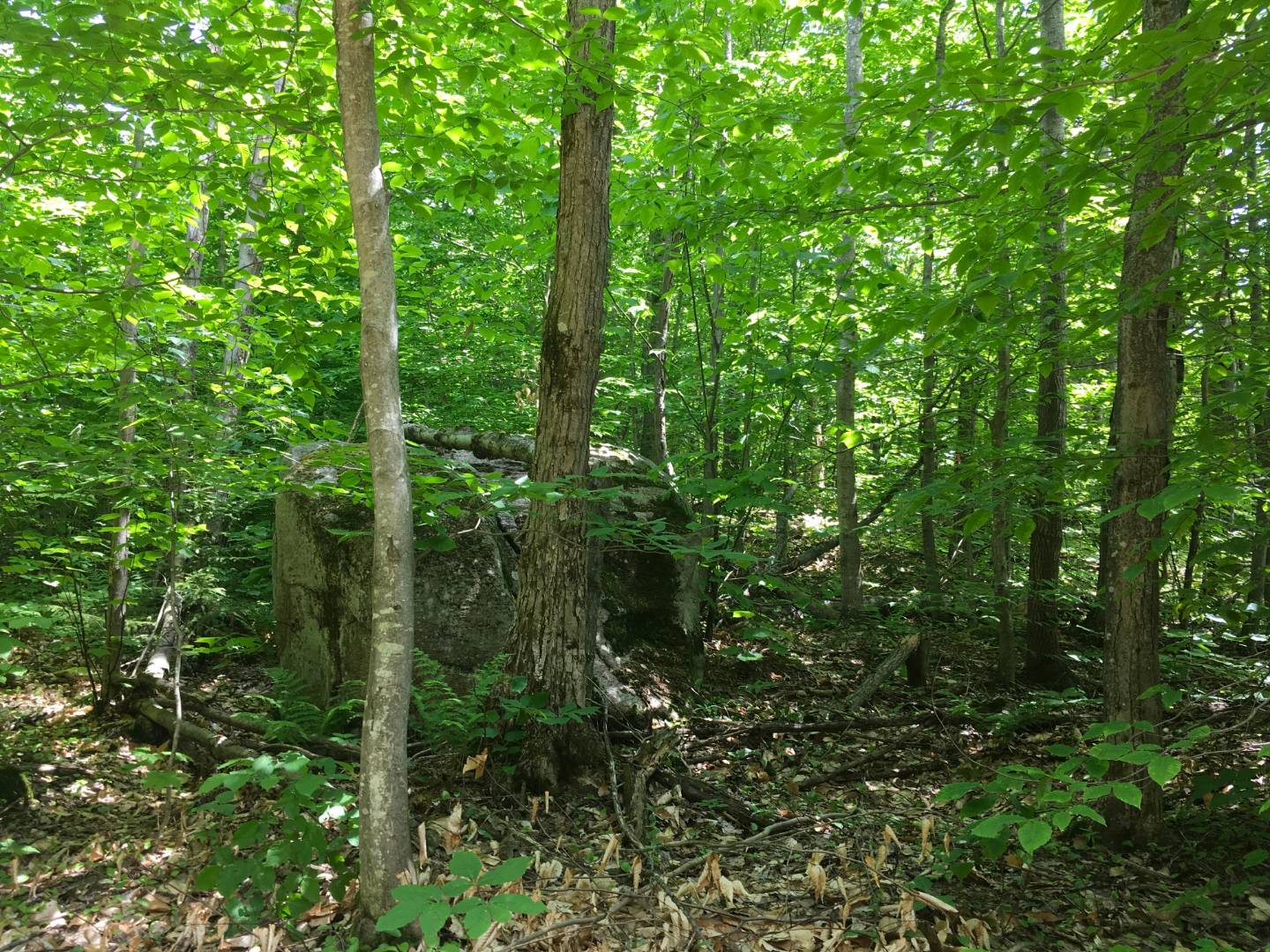 Limekiln Rd, Malone, NY 12953 (Sold NYStateMLS Listing 10619037)