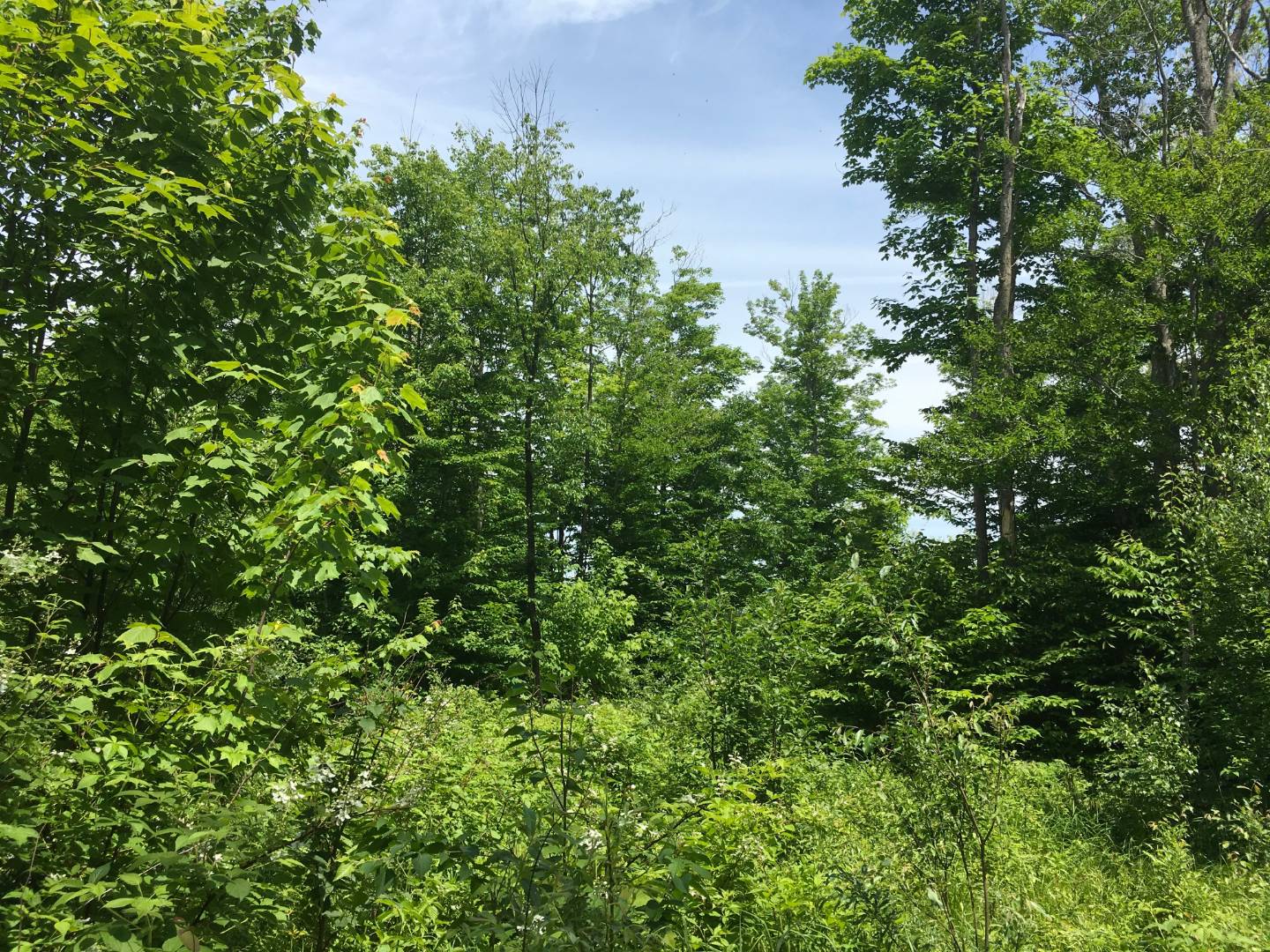 Limekiln Rd, Malone, NY 12953 (Sold NYStateMLS Listing 10619037)