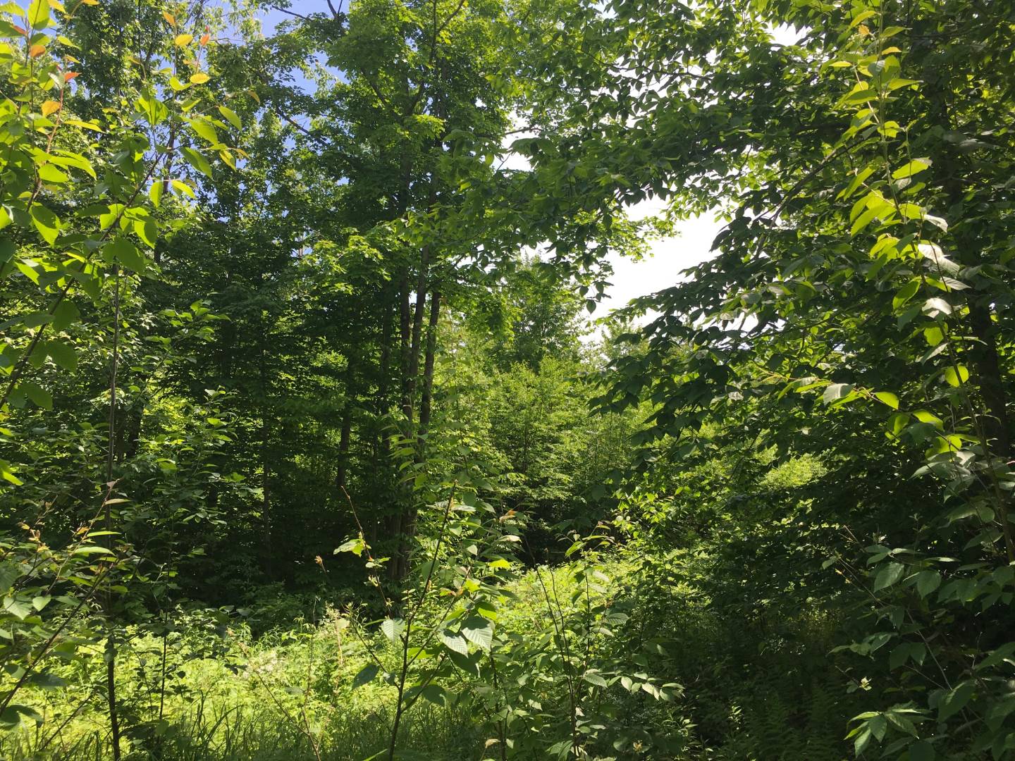 Limekiln Rd, Malone, NY 12953 (Sold NYStateMLS Listing 10619037)