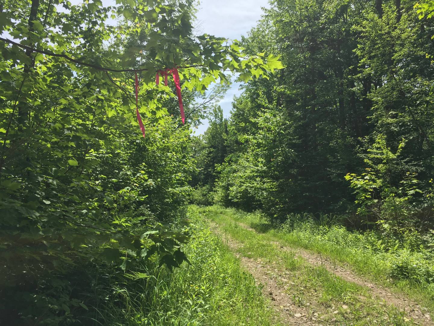 Limekiln Rd, Malone, NY 12953 (Sold NYStateMLS Listing 10619037)