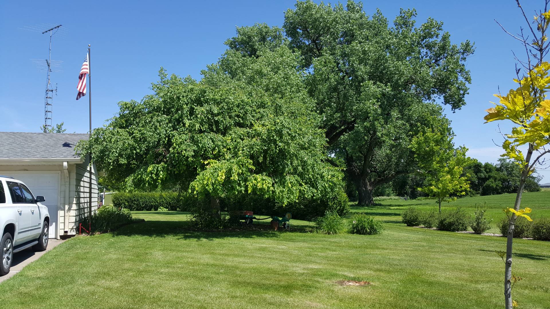 2219 14th Avenue, Central City, NE 68826 (Sold MyStateMLS Listing 10619864)