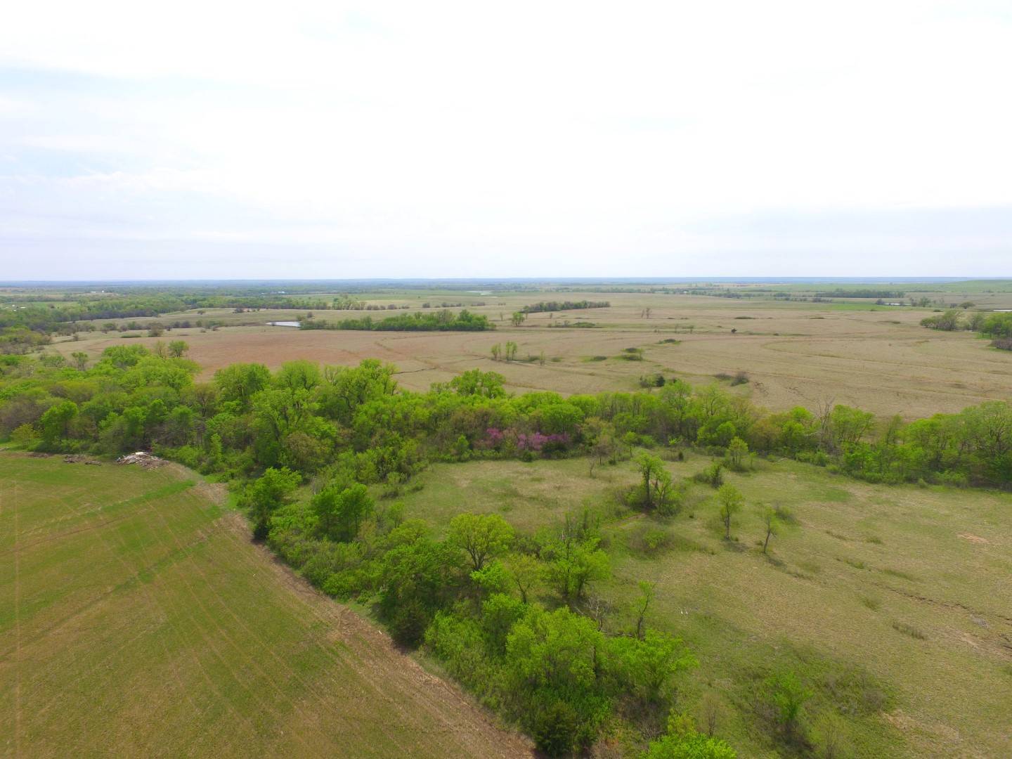 Road 320, Americus, KS 66835 (Off Market MyStateMLS Listing #10613686)