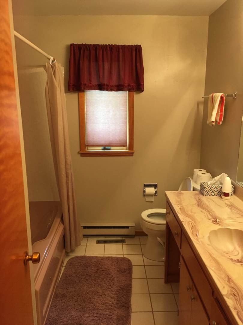 220 Center Avenue, Lake Wilson, MN 56151 (Sold NYStateMLS Listing