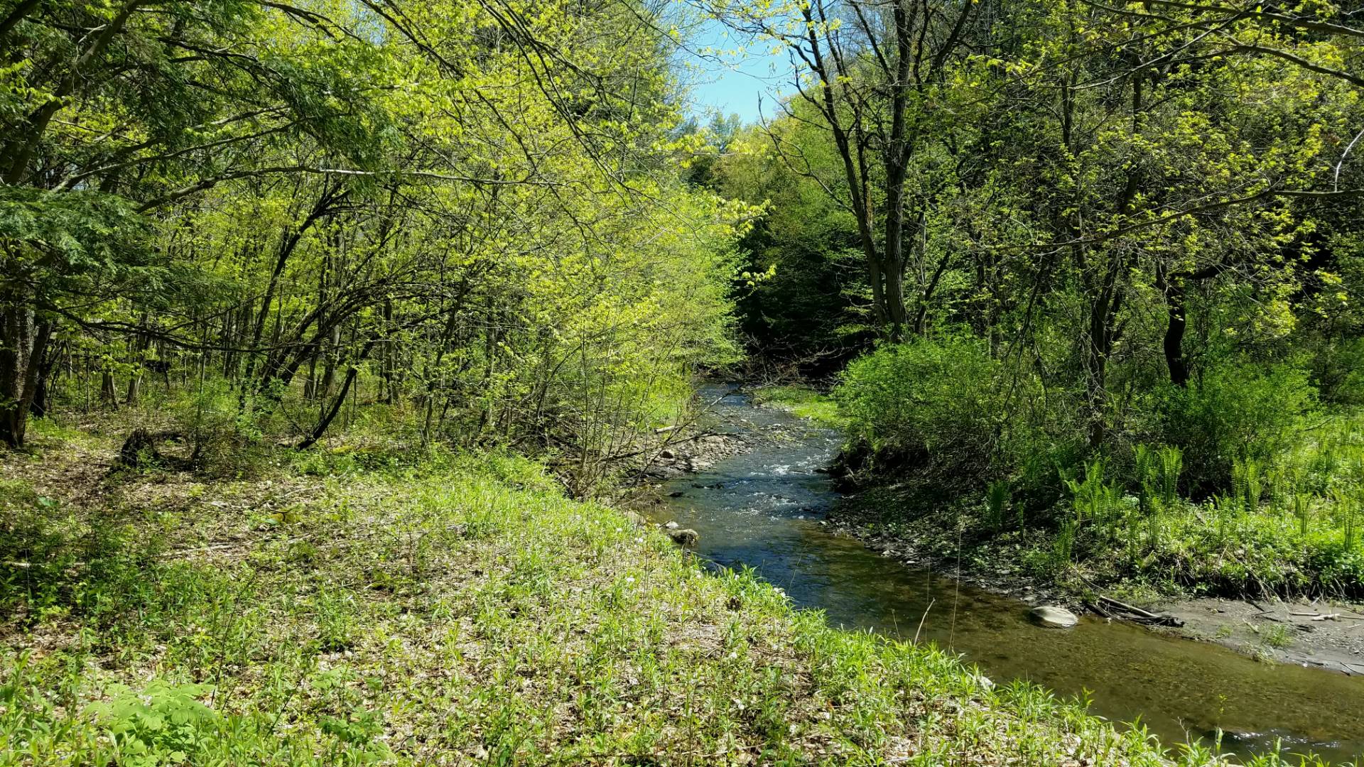 8&9 Pond View Estates Casler Road, Middleville, NY 13406 (Sold