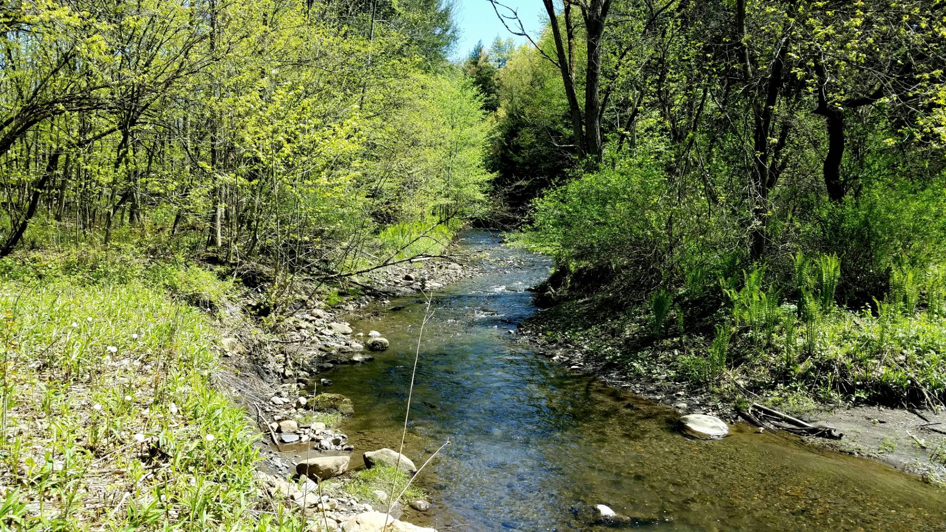 8&9 Pond View Estates Casler Road, Middleville, NY 13406 (Sold