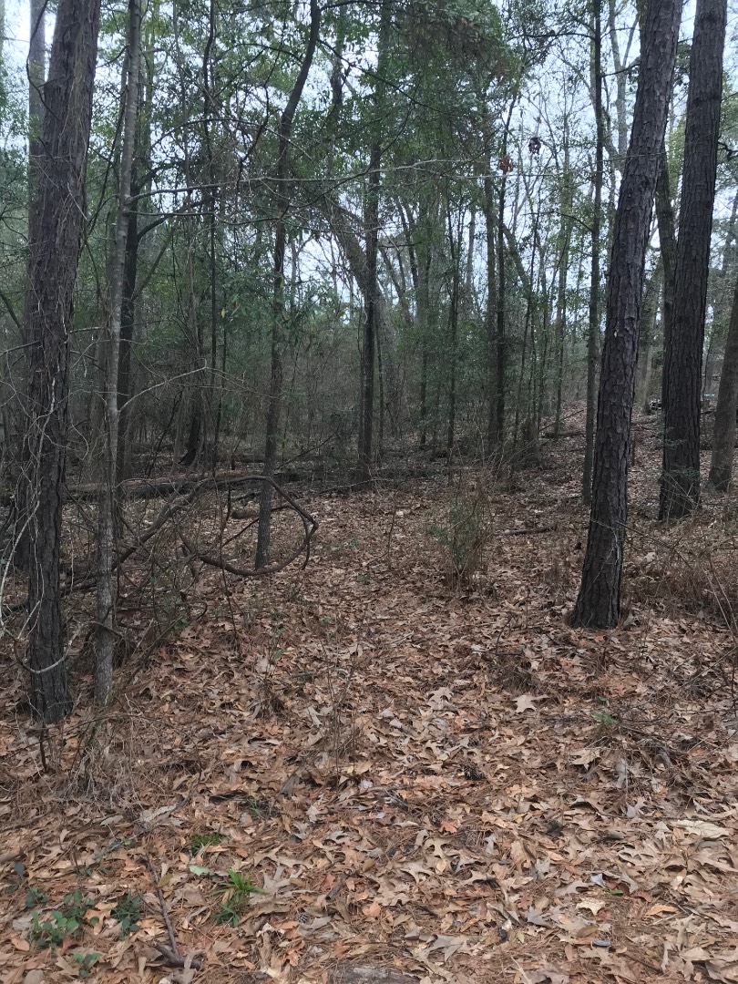 0 Ironwood Street, Lot 122 Twin Oaks Subdivision, Many, LA 71449 (Sold MyStateMLS Listing