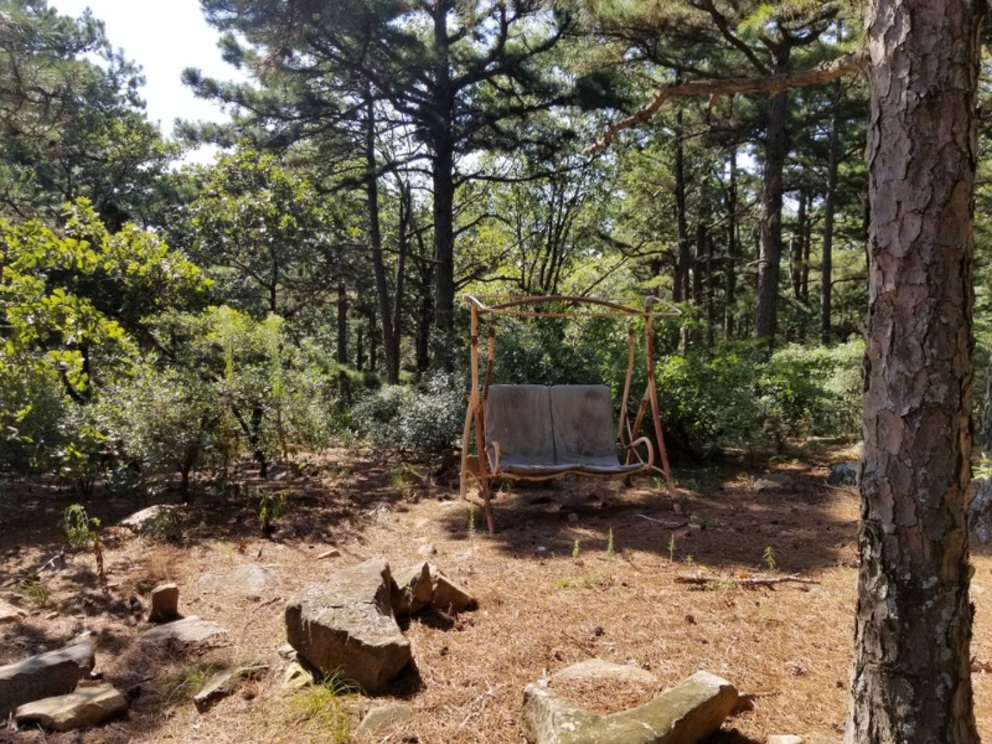 54 Acres and Cabin on KTrail, Talihina, OK 74571 (Off Market MyStateMLS Listing 10627130)