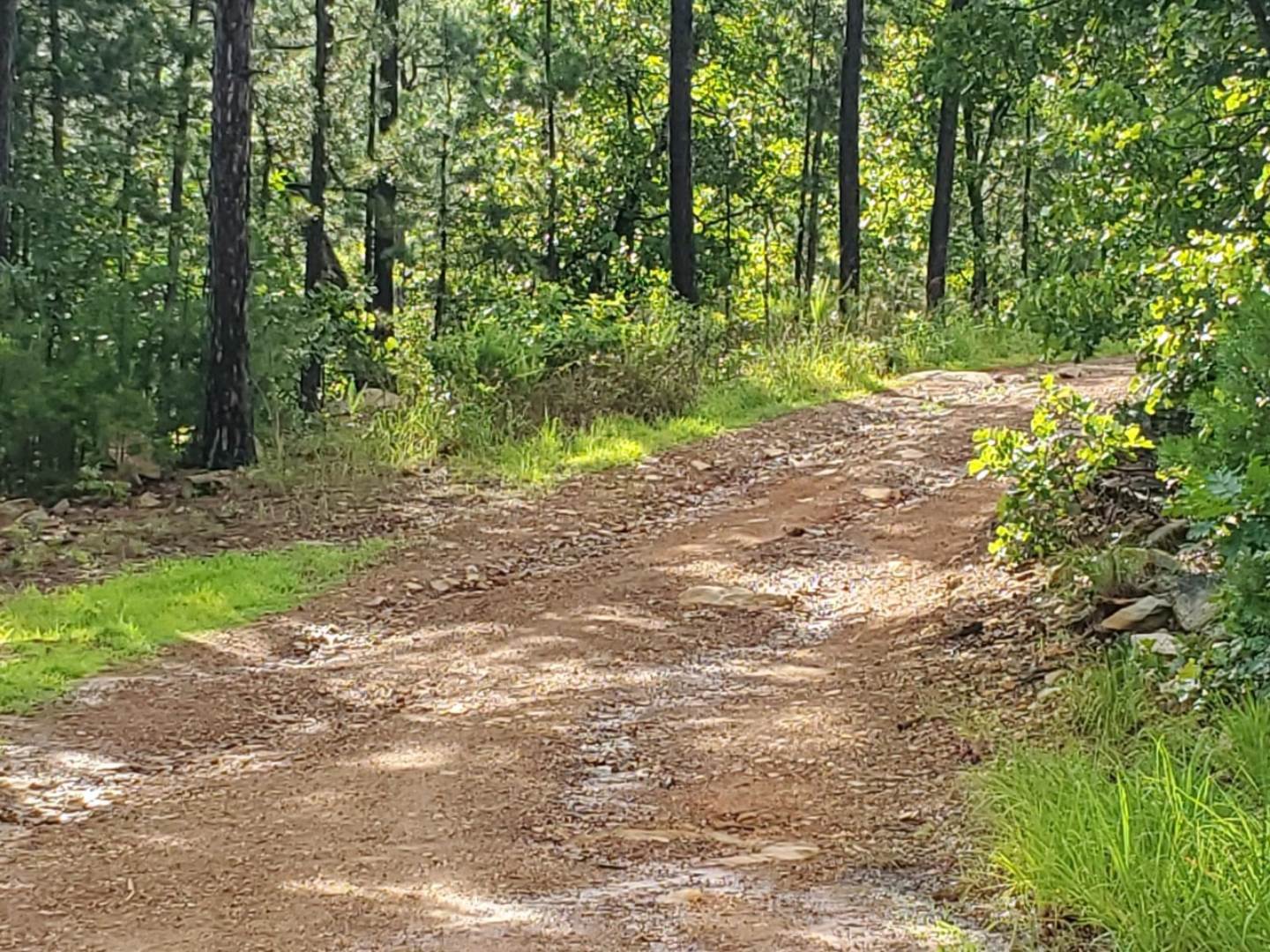 Lot 6 Dill Dr, Yanush, OK 74578 (Off Market MyStateMLS Listing 10620638)