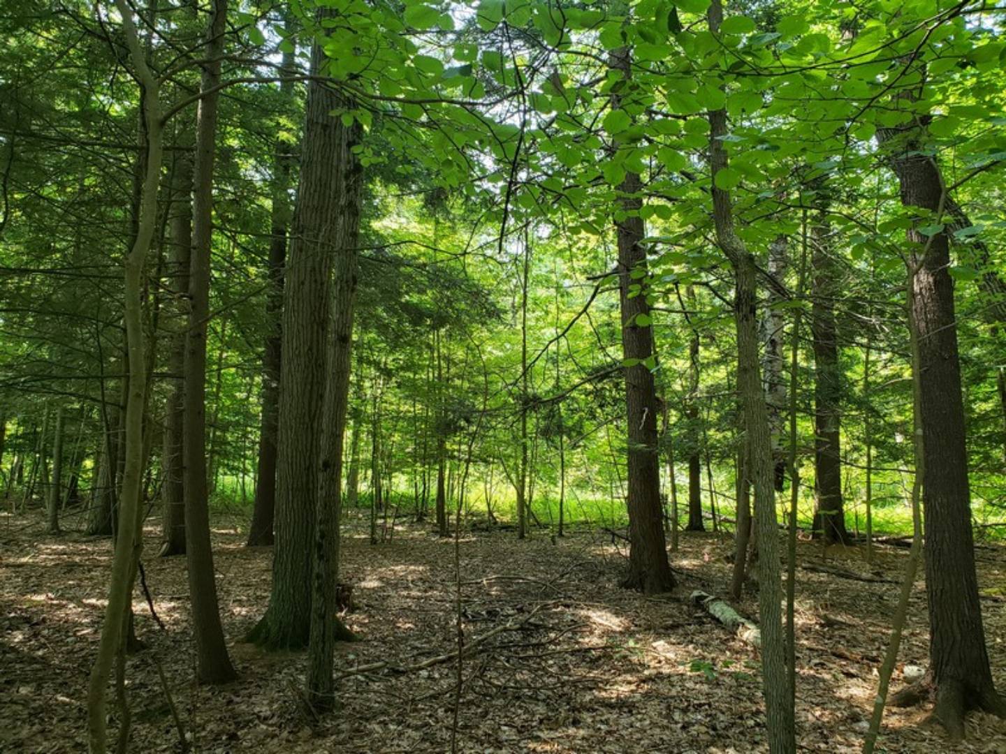 Lot 9 Big Boom Rd, Queensbury, NY 12804 (Off Market NYStateMLS Listing 10628948)