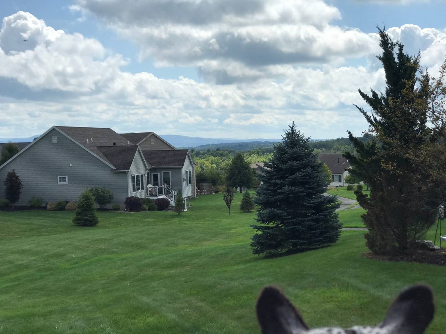 12 Sheldon Drive, Mechanicville, NY 12118 (Sold NYStateMLS Listing