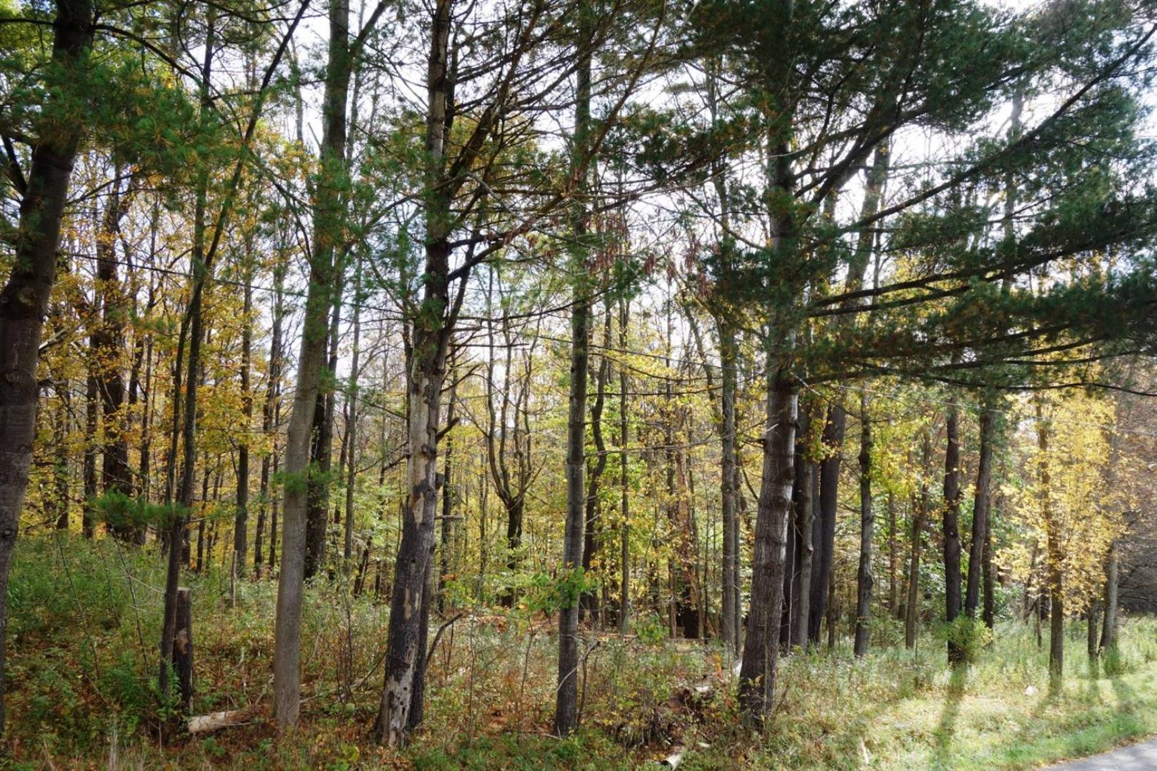 County Highway 4, Butternuts, NY 13776 (Sold NYStateMLS Listing 10639350)