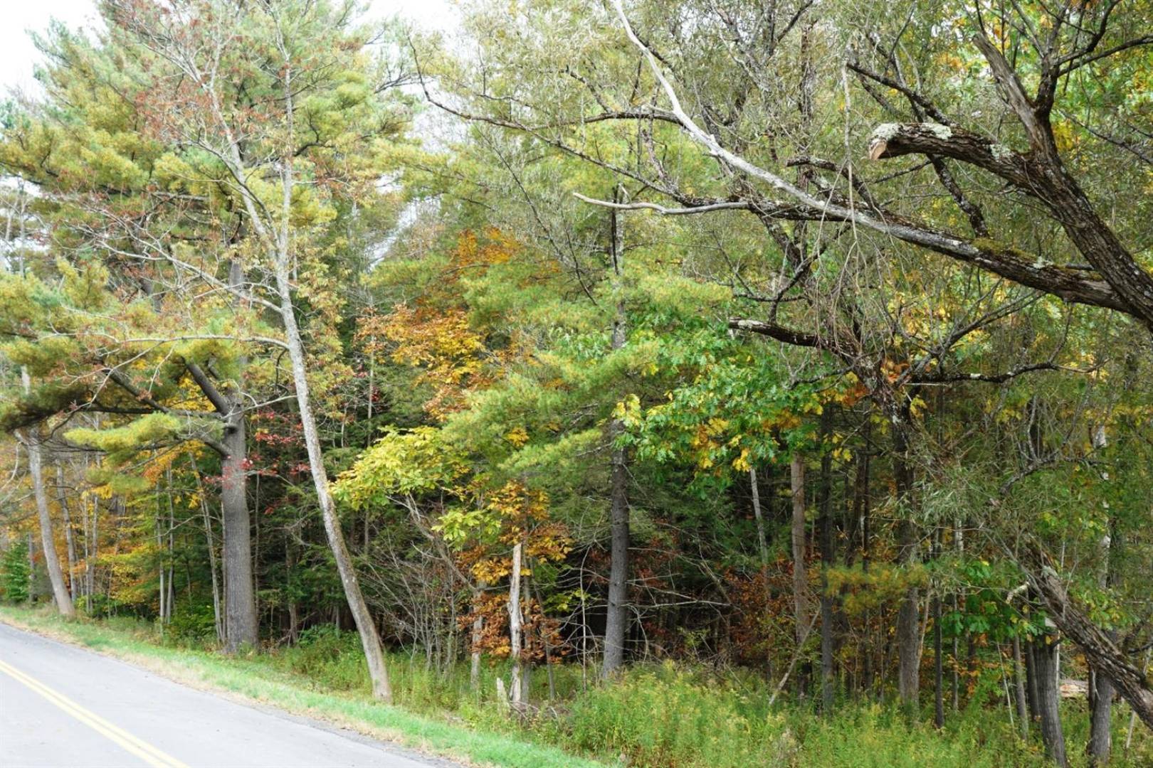 County Highway 4, Butternuts, NY 13776 (Sold NYStateMLS Listing 10639350)