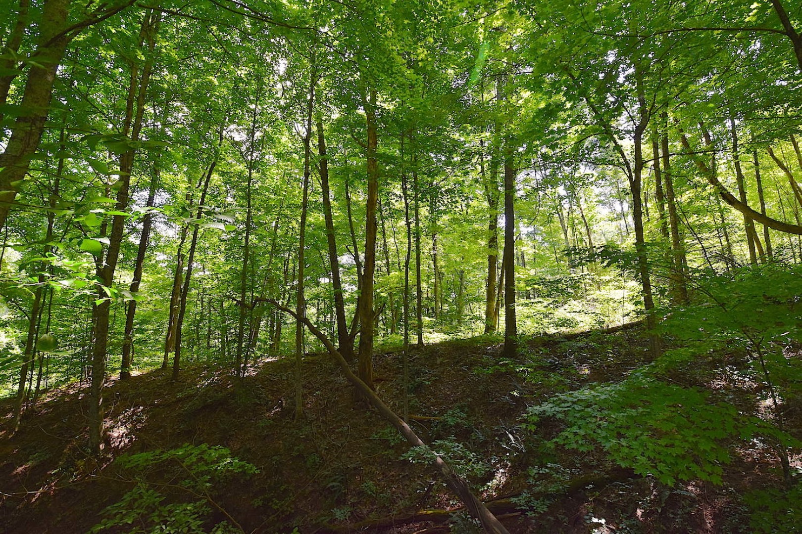 0 Roddy Road, Vincent, OH 45784 (Sold MyStateMLS Listing 10630368)