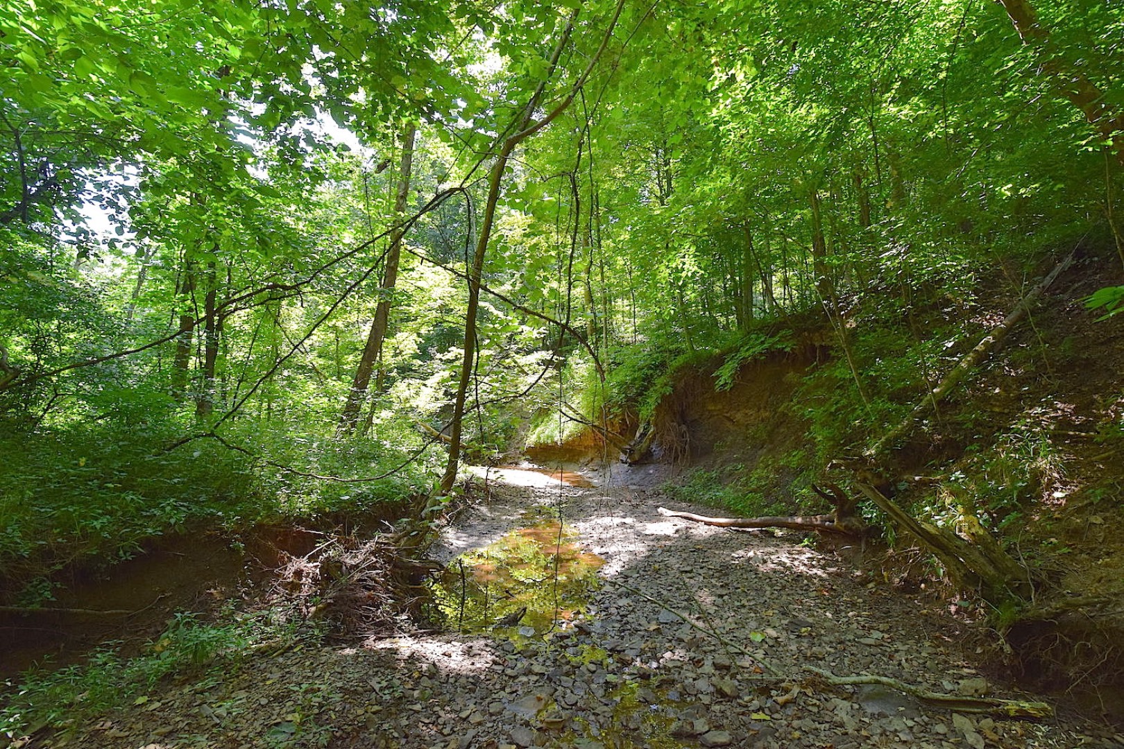 0 Roddy Road, Vincent, OH 45784 (Sold MyStateMLS Listing 10630368)