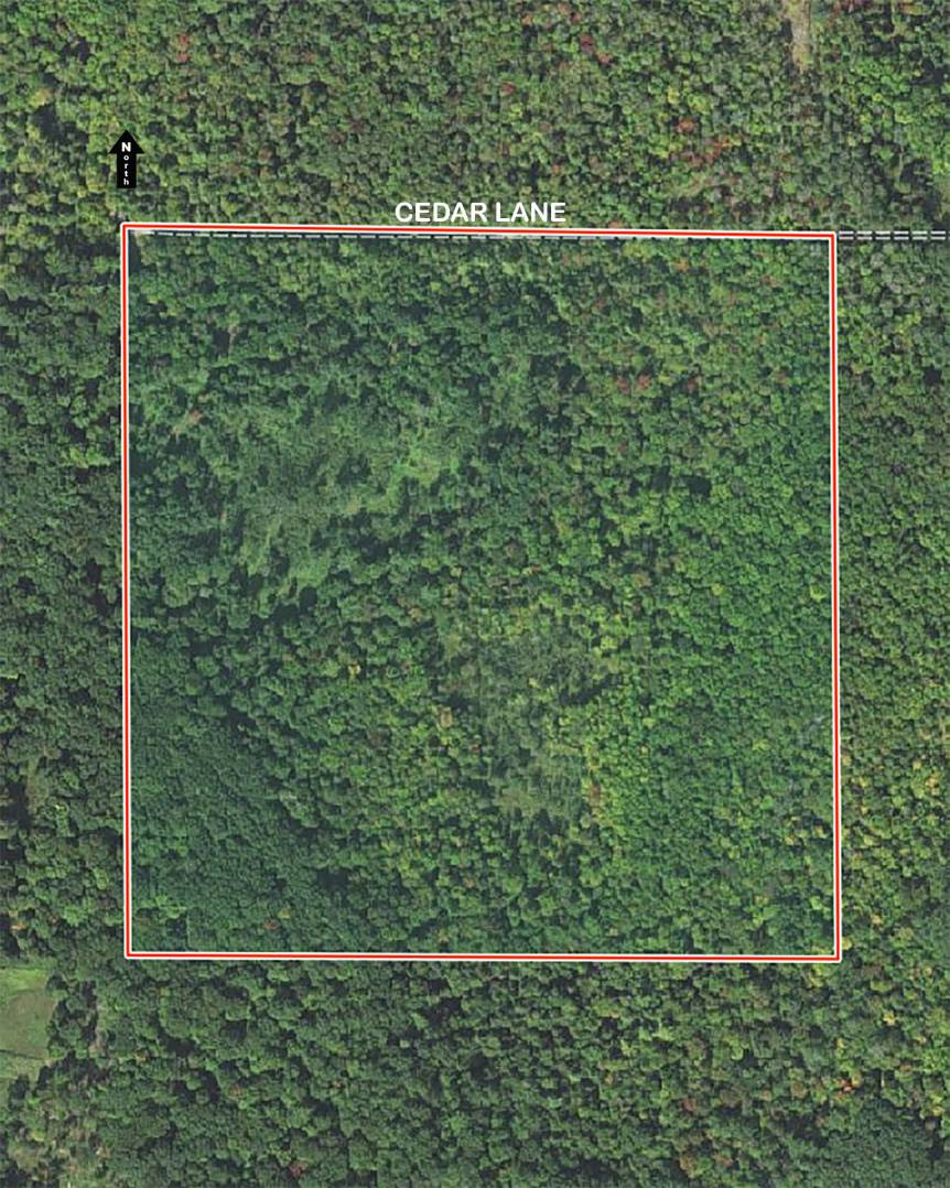 Cedar Lane, Leopolis, WI 54948 (Sold NYStateMLS Listing 10639268)