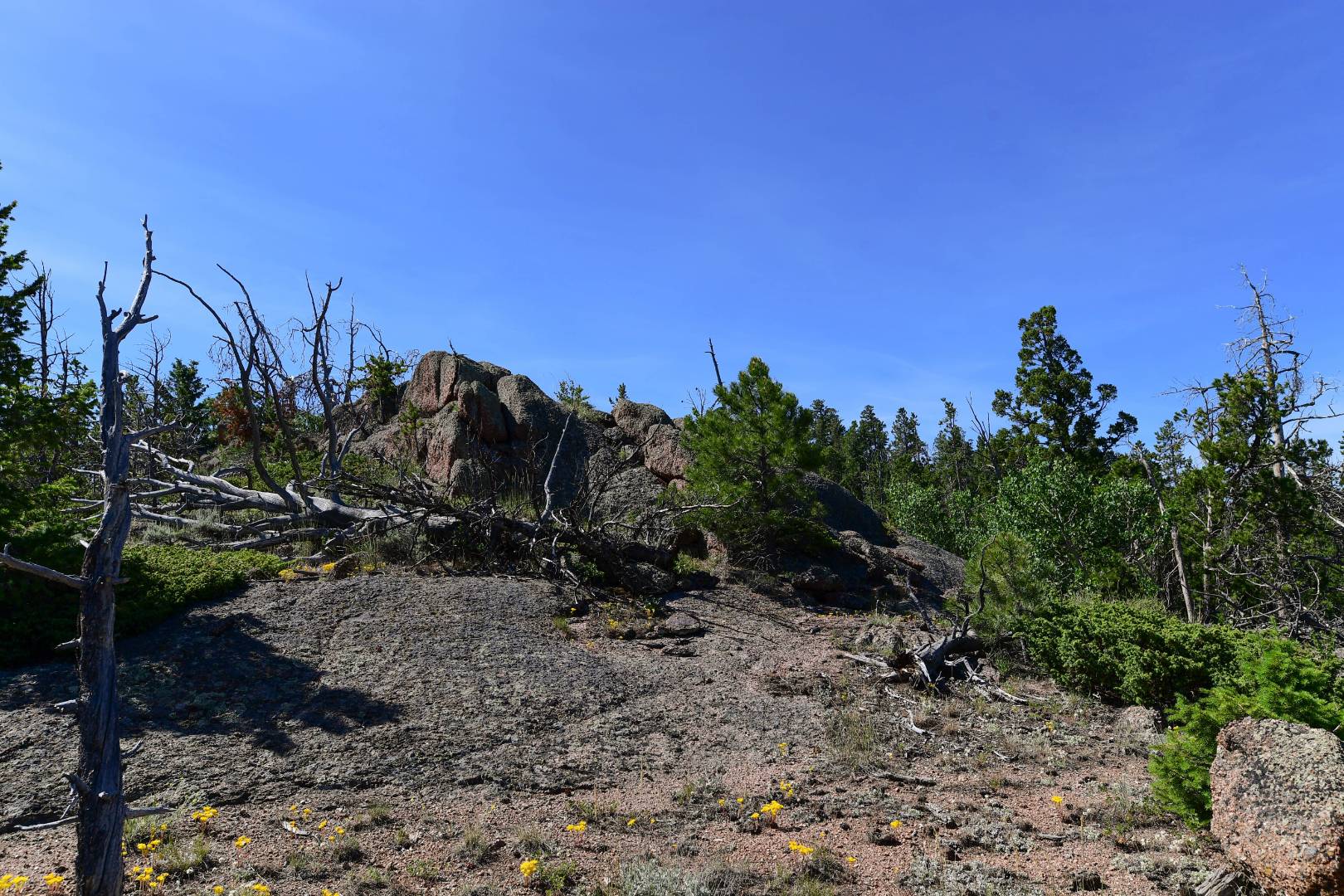0 Stump Rd, Laramie, WY 82070 (Off Market NYStateMLS Listing 10630177)