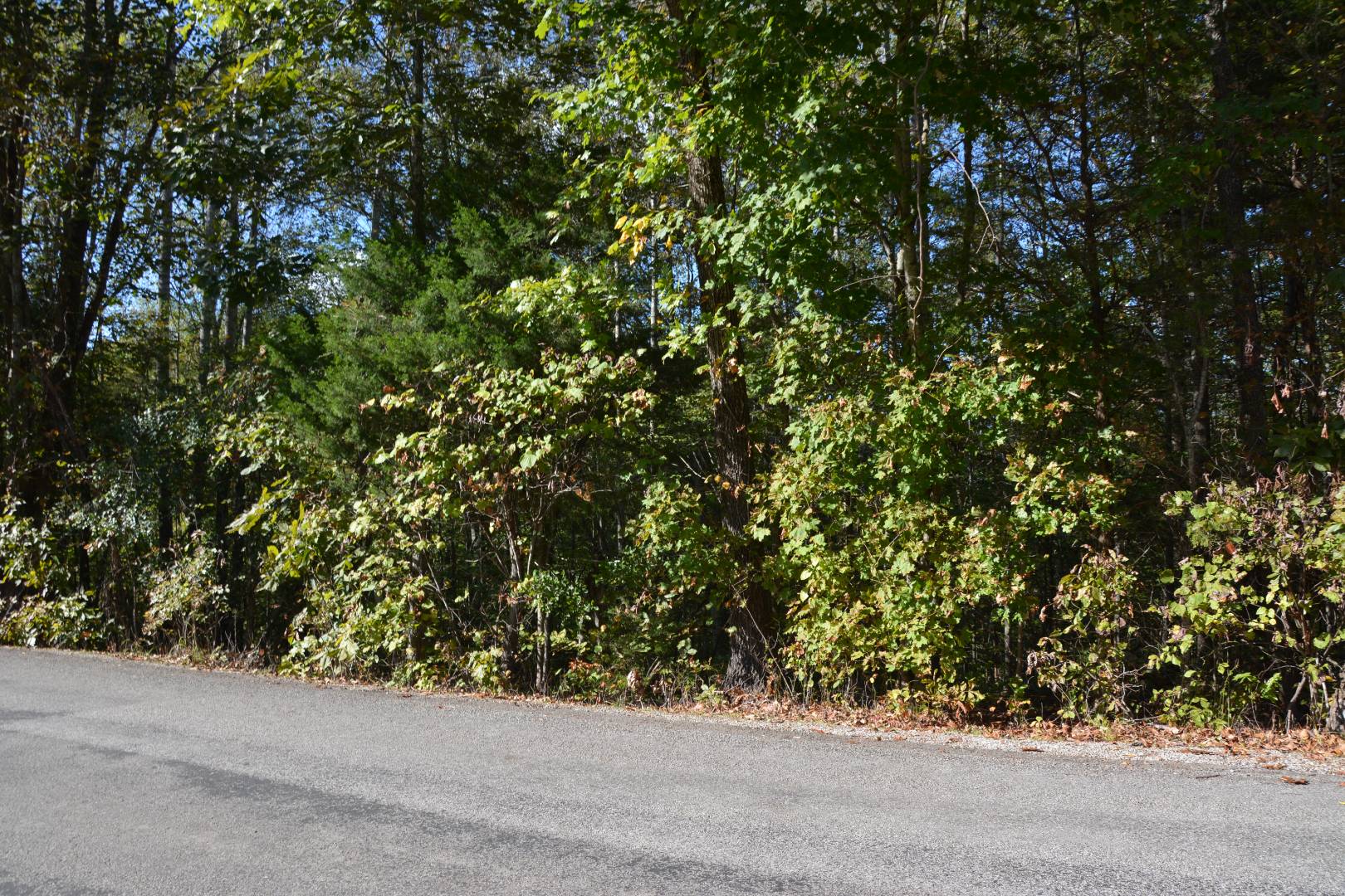 Greenbriar Ridge Road, 7, Breeding, KY 42715 (Off Market NYStateMLS