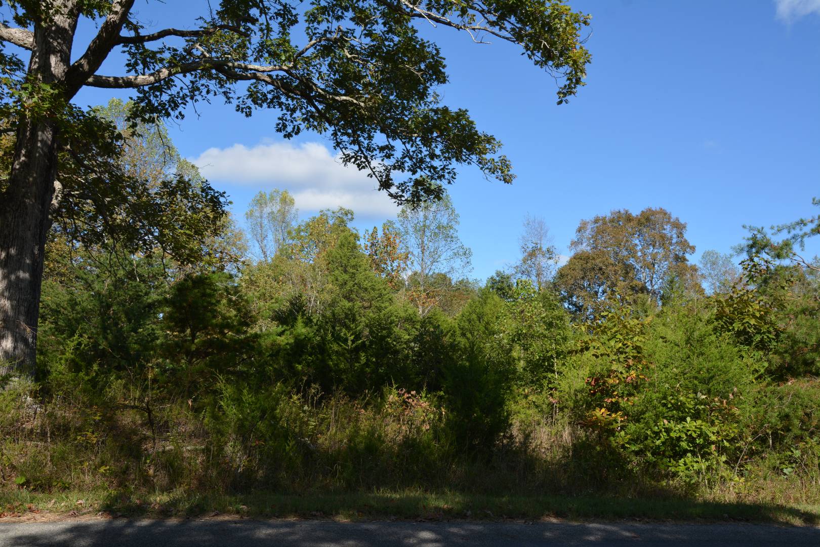 Greenbriar Ridge Road, 8, Breeding, KY 42715 (Off Market NYStateMLS