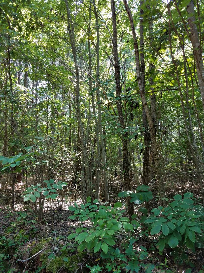 905 Keeling Dr, Keeling, VA 24566 (Off Market MyStateMLS Listing 10643323)