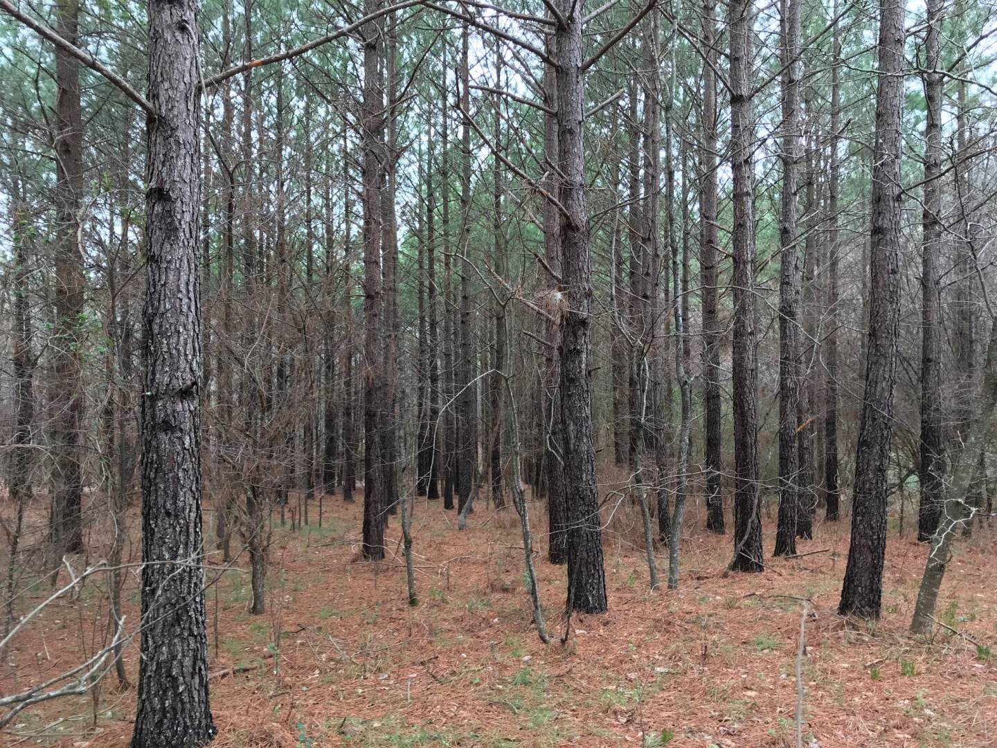 905 Keeling Dr, Keeling, VA 24566 (Off Market MyStateMLS Listing 10643323)