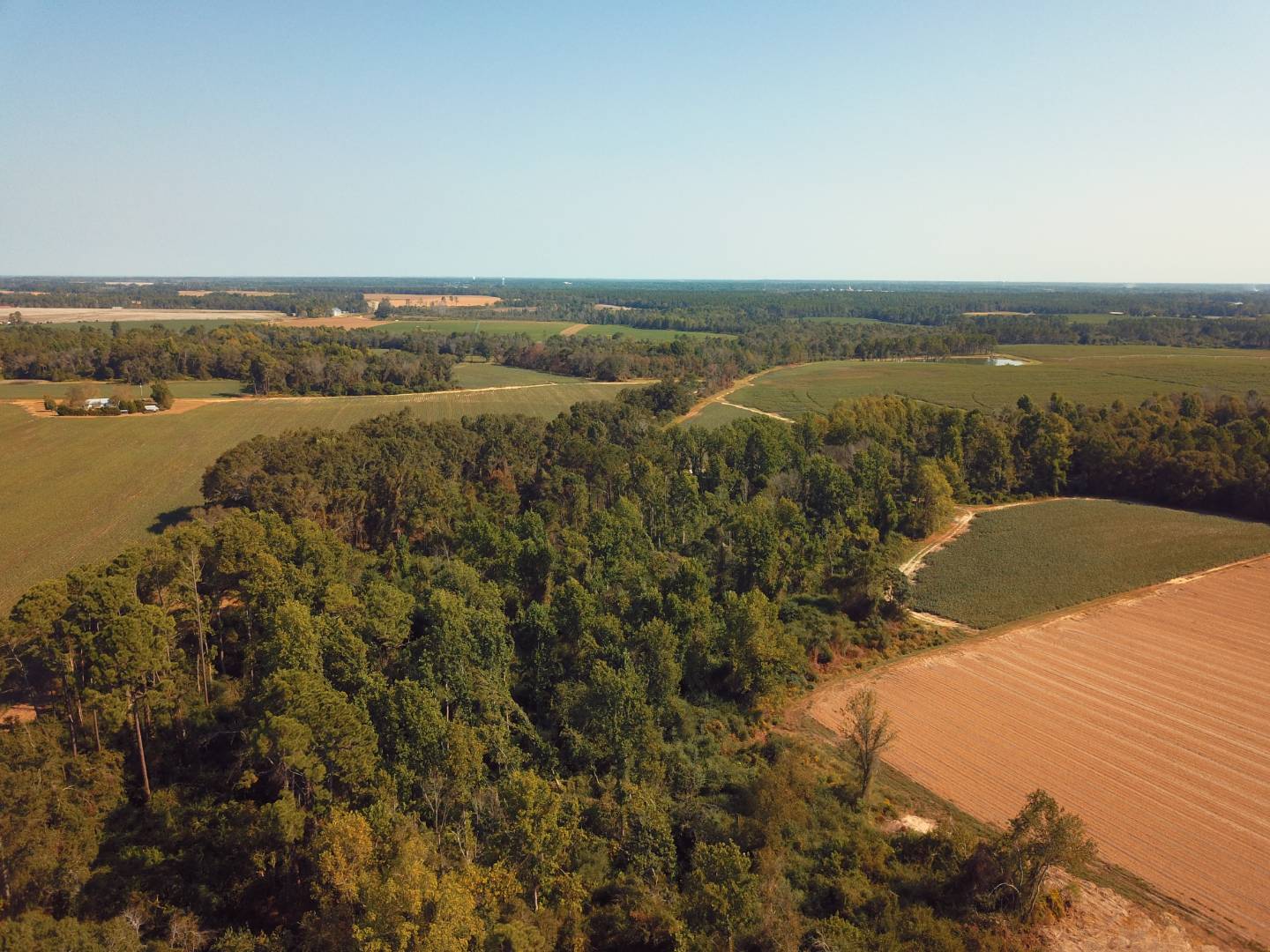 Massey Airport Road, Sylvester, GA 31791 (Off Market MyStateMLS Listing