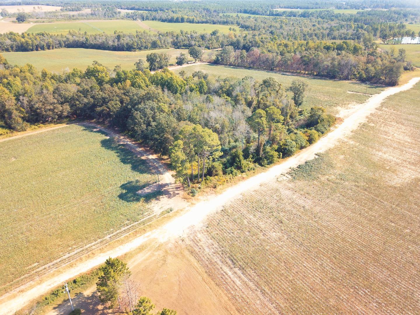 Massey Airport Road, Sylvester, GA 31791 (Off Market MyStateMLS Listing