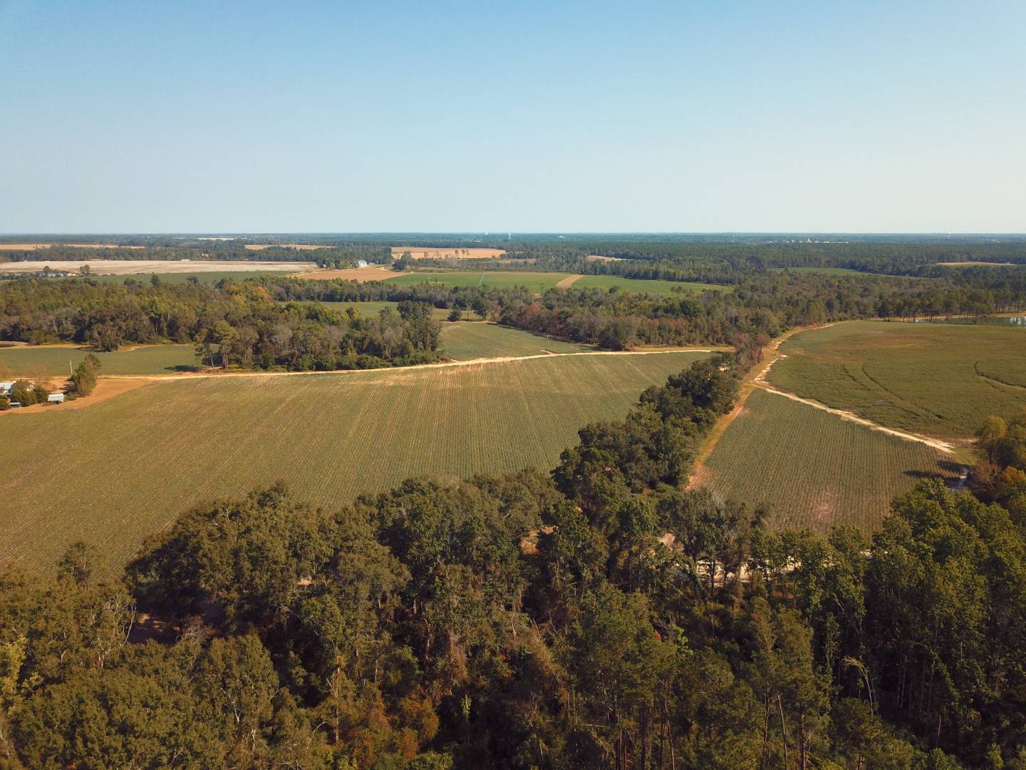 Massey Airport Road, Sylvester, GA 31791 (Off Market MyStateMLS Listing