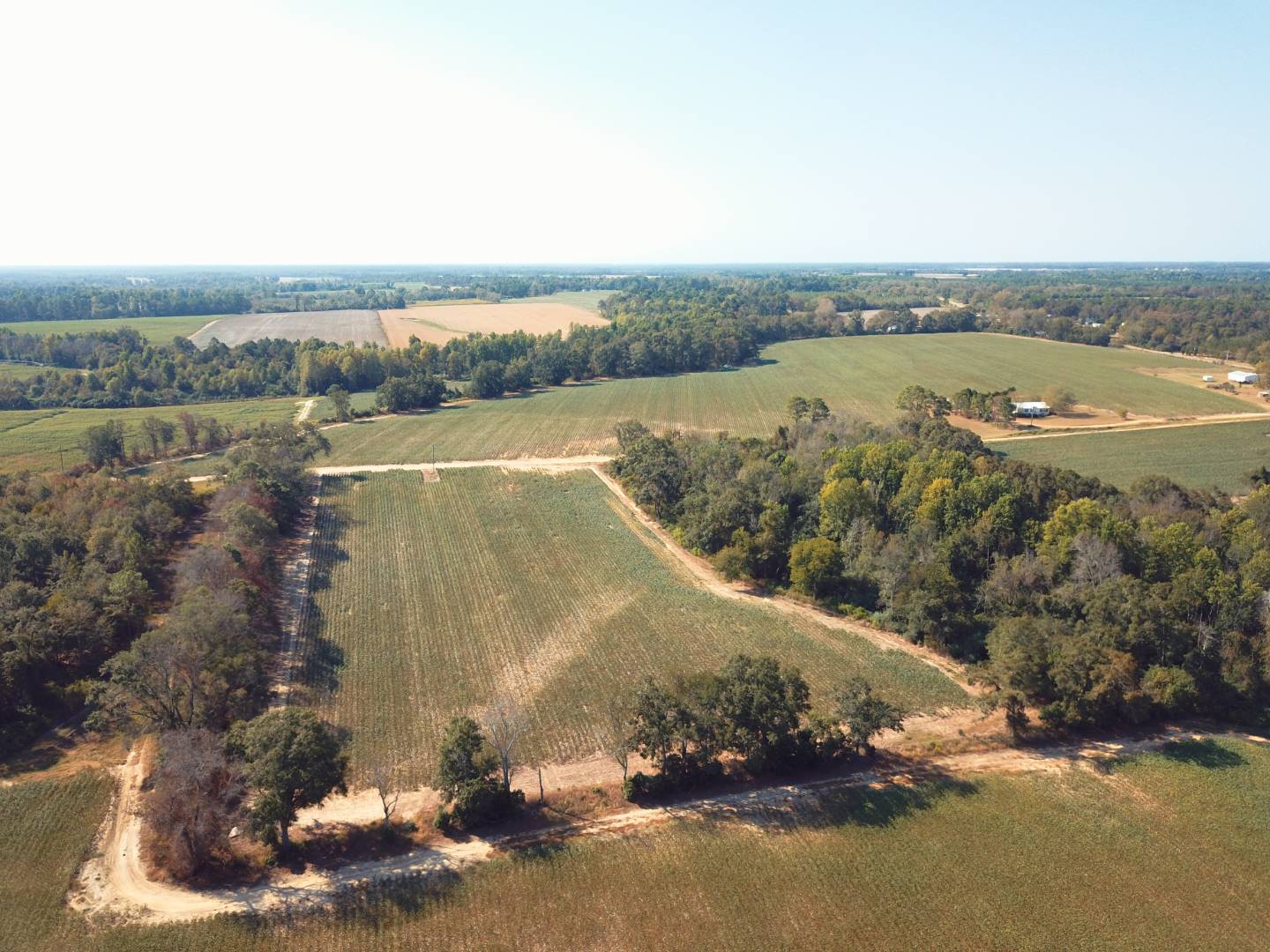 Massey Airport Road, Sylvester, GA 31791 (Off Market MyStateMLS Listing