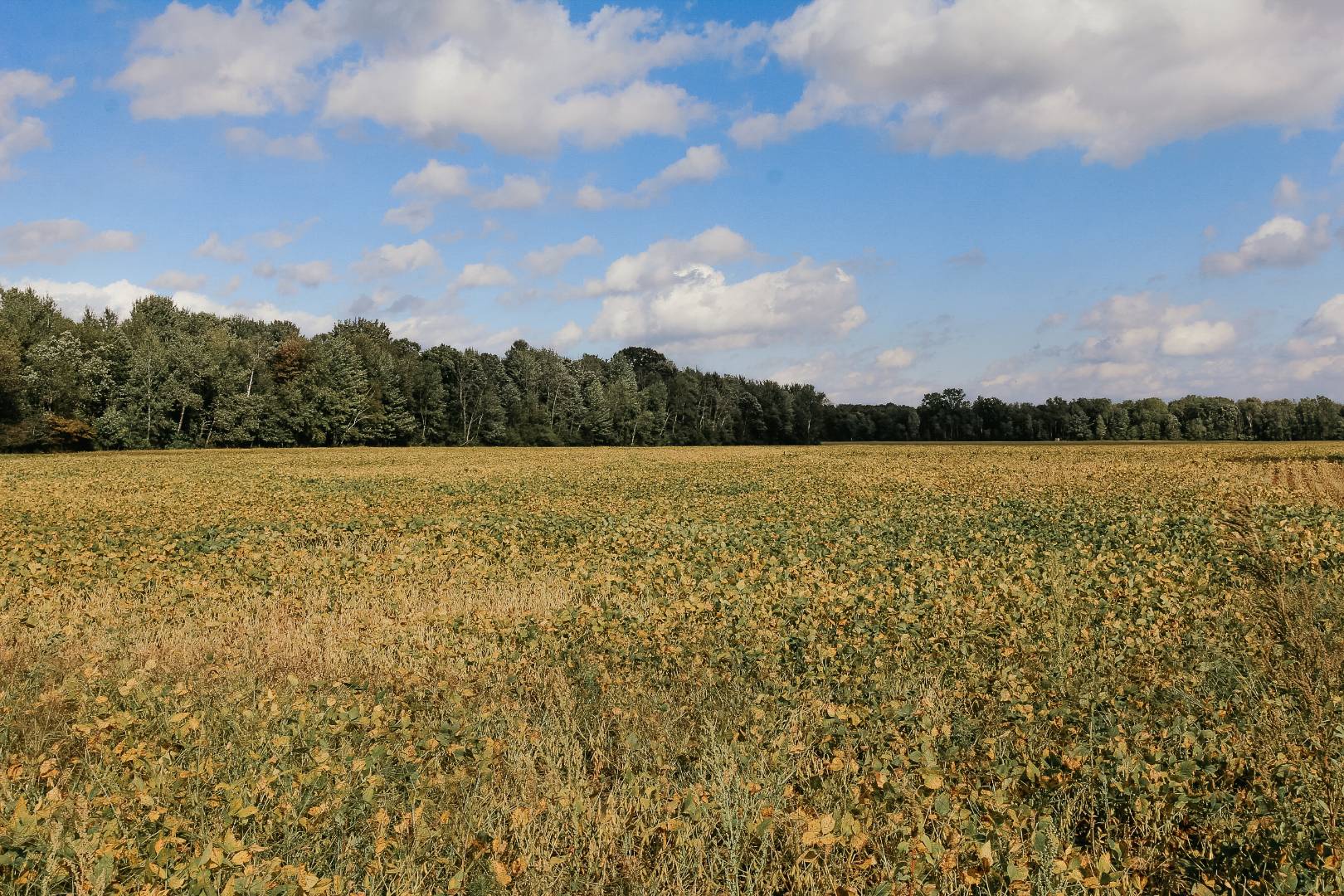 000 Summerton Rd., Mount Pleasant, MI 48858 (Sold NYStateMLS Listing