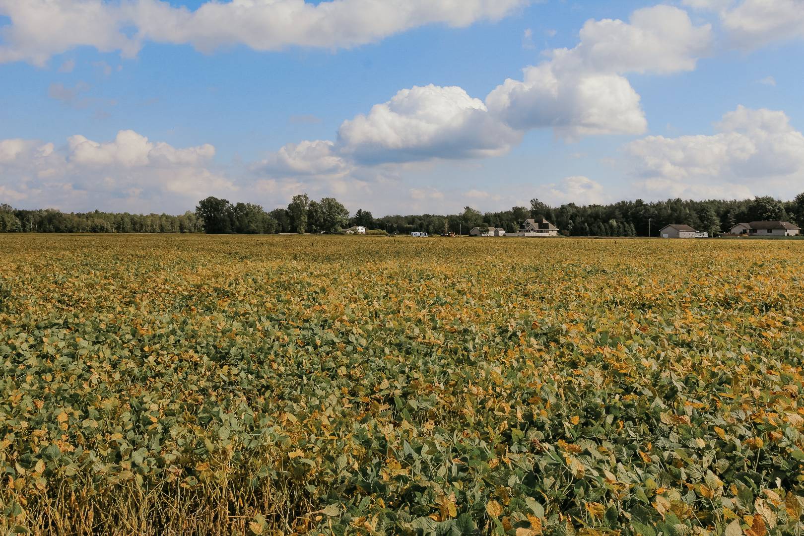 000 Summerton Rd., Mount Pleasant, MI 48858 (Sold NYStateMLS Listing