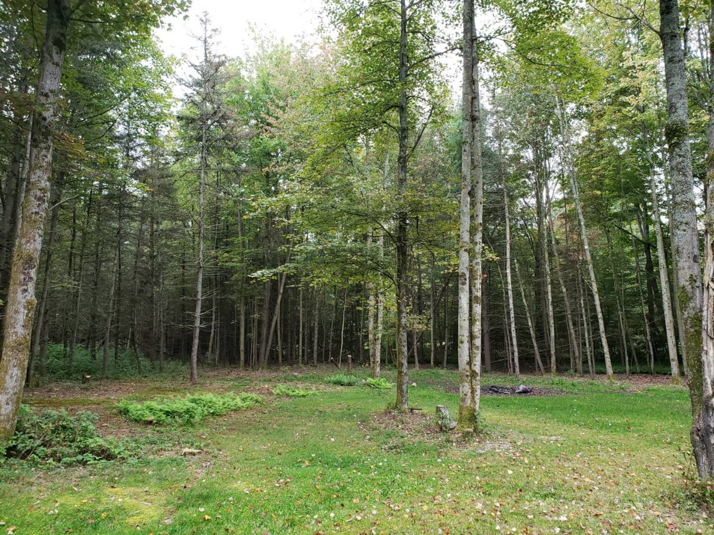 Benson Rd., German, NY 13801 (Sold NYStateMLS Listing 10645357)