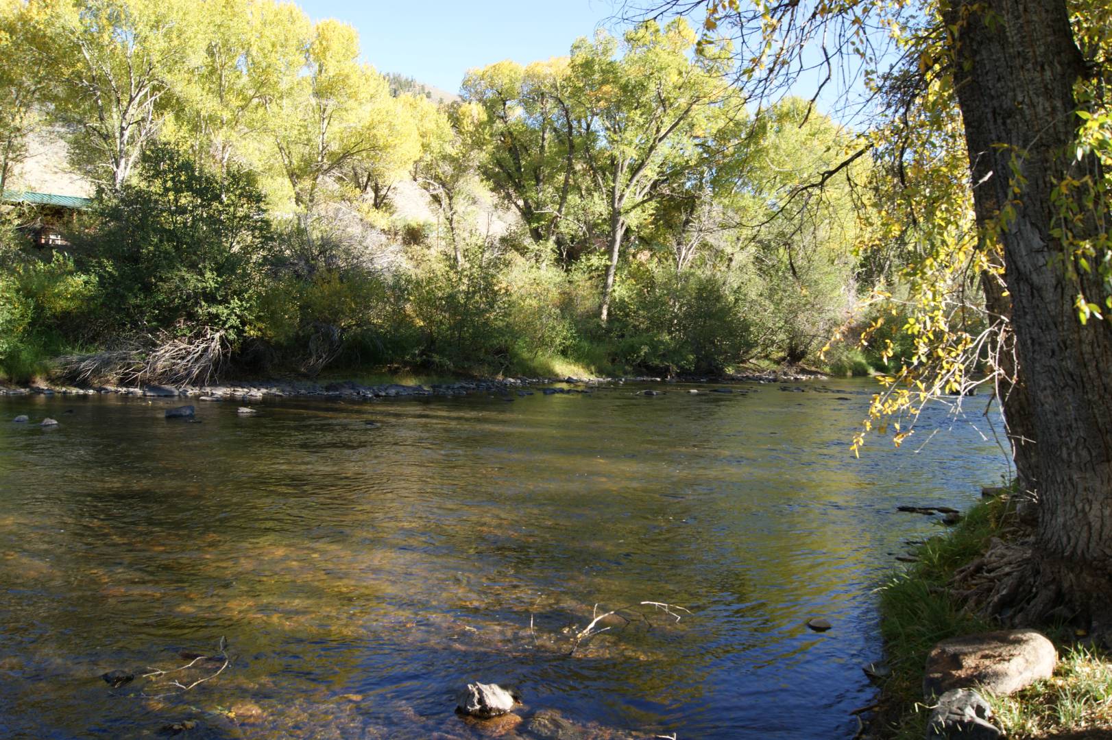 17 HIGHWAY 10, WOODSLANDING/JELM, WY 82063 (Sold MyStateMLS Listing