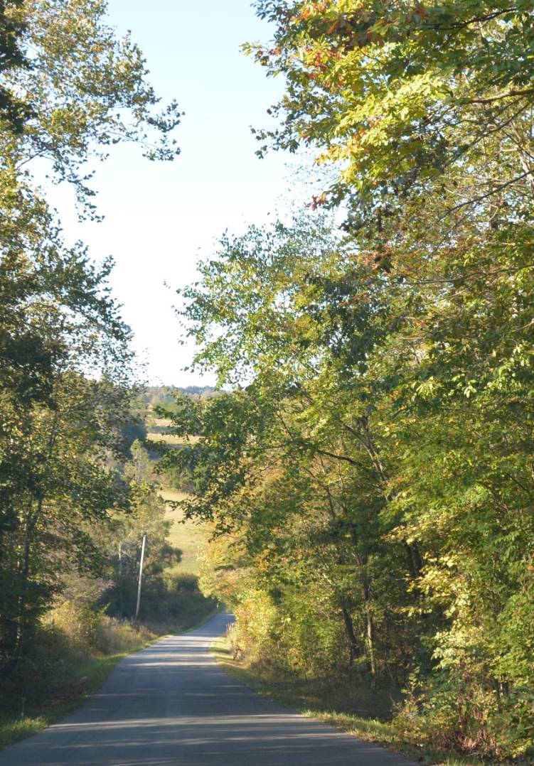 Greenbriar Ridge Road, 27, Breeding, KY 42715 (Sold NYStateMLS Listing