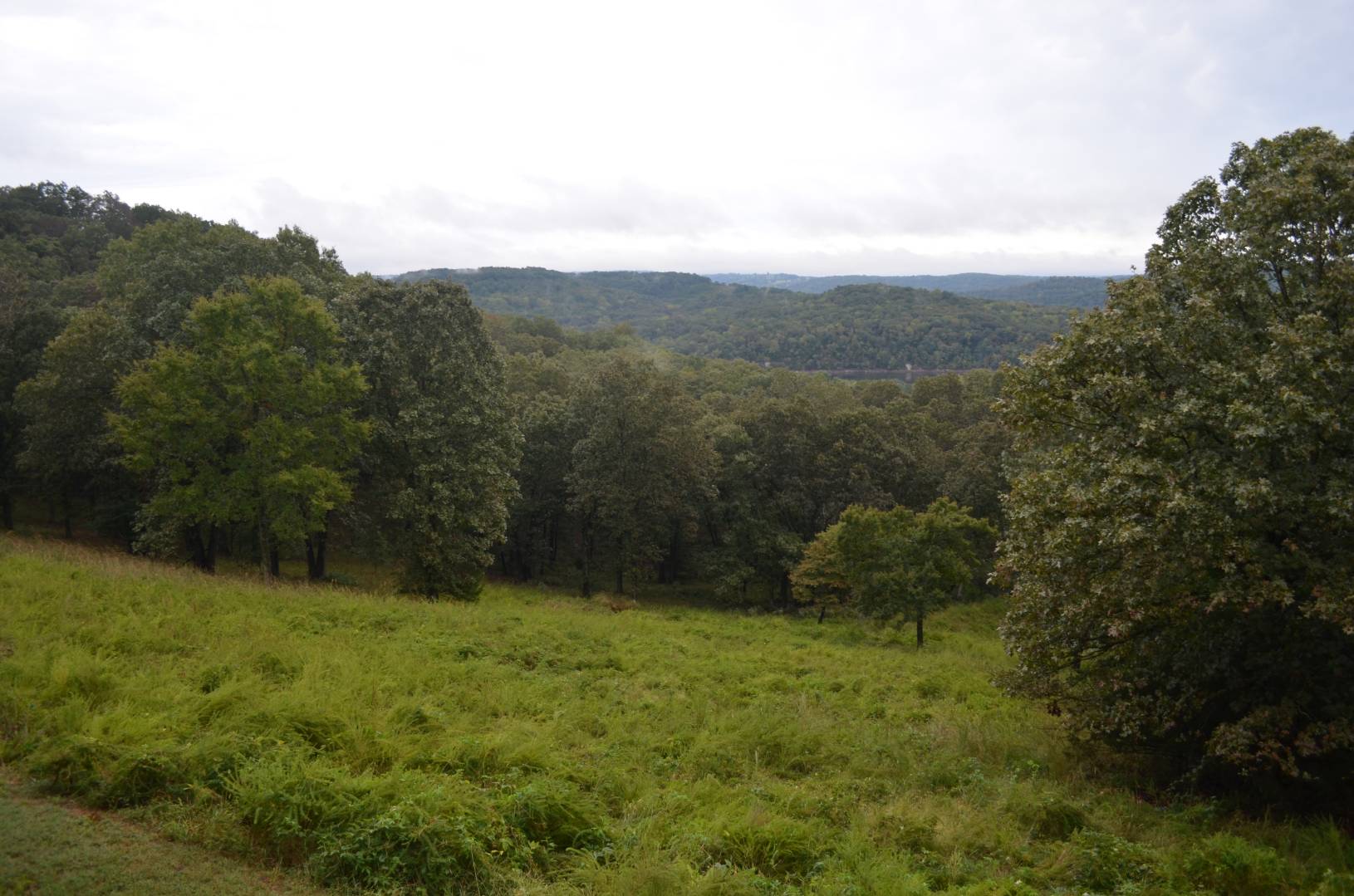 343 CR 665, Oak Grove, AR 72660 (Off Market MyStateMLS Listing 10644283)