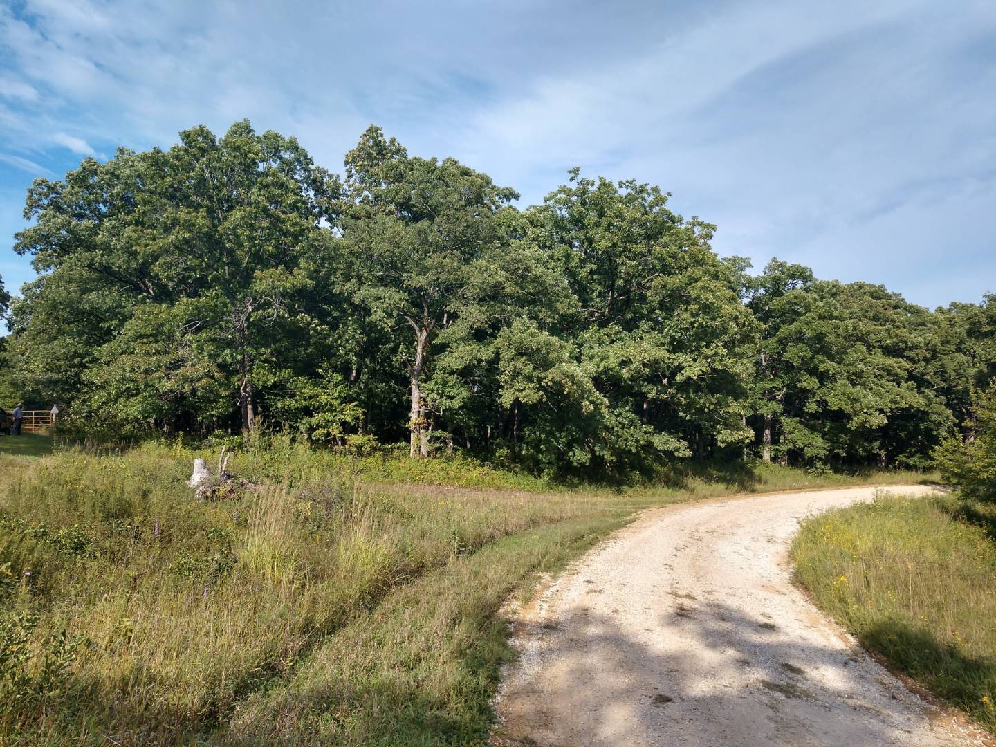 Talent Road, Winigan, MO 63566 (Sold MyStateMLS Listing 10640190)