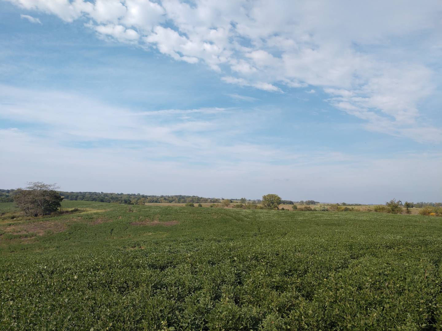 Talent Road, Winigan, MO 63566 (Sold MyStateMLS Listing 10640190)