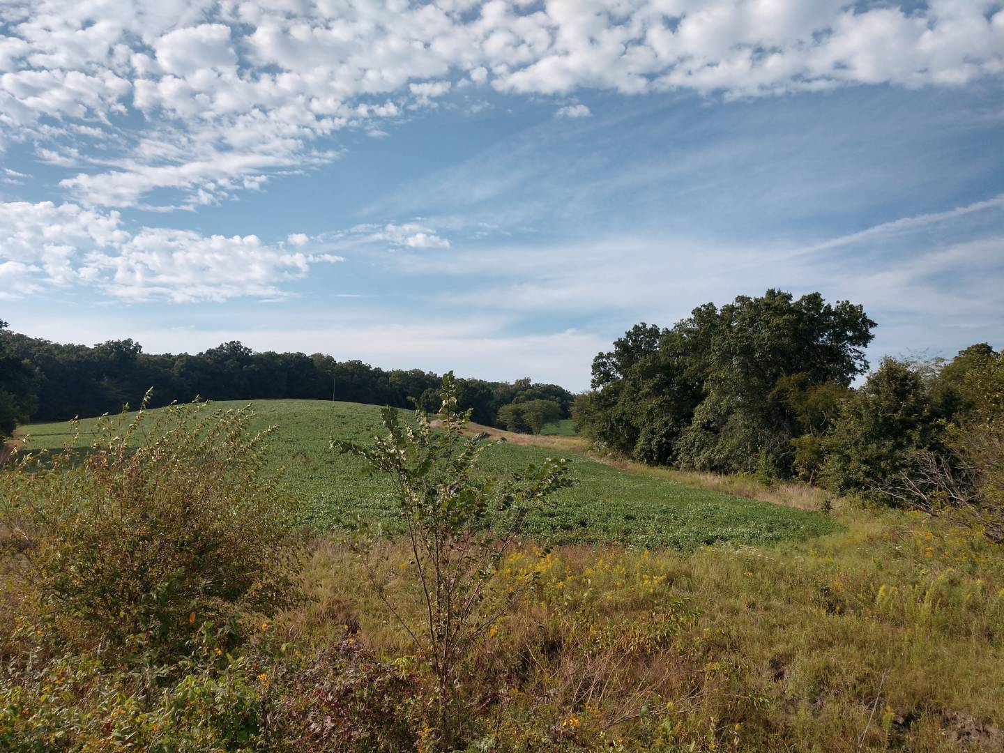 Talent Road, Winigan, MO 63566 (Sold MyStateMLS Listing 10640190)